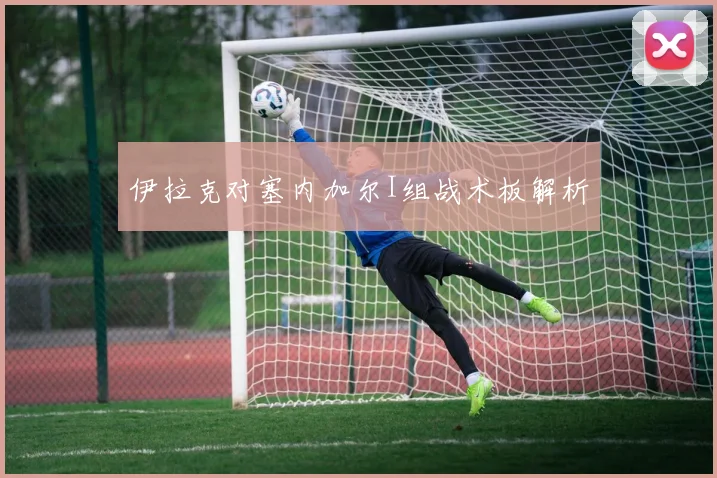 伊拉克对塞内加尔I组战术板解析