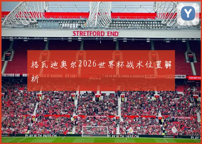 格瓦迪奥尔2026世界杯战术位置解析