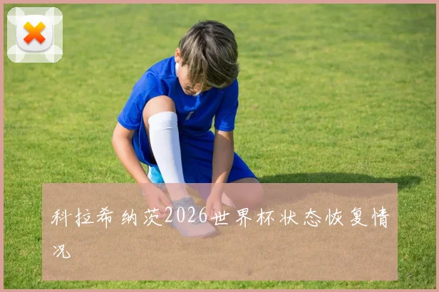 科拉希纳茨2026世界杯状态恢复情况