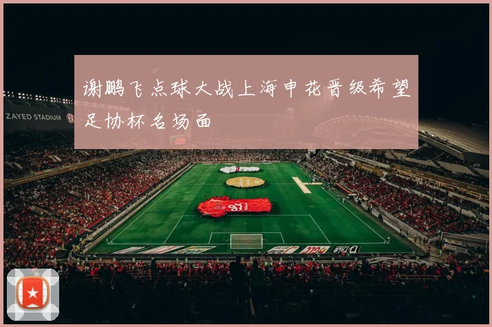 谢鹏飞点球大战上海申花晋级希望足协杯名场面