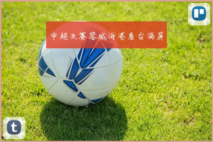 中超决赛蓉城海港看台满屏