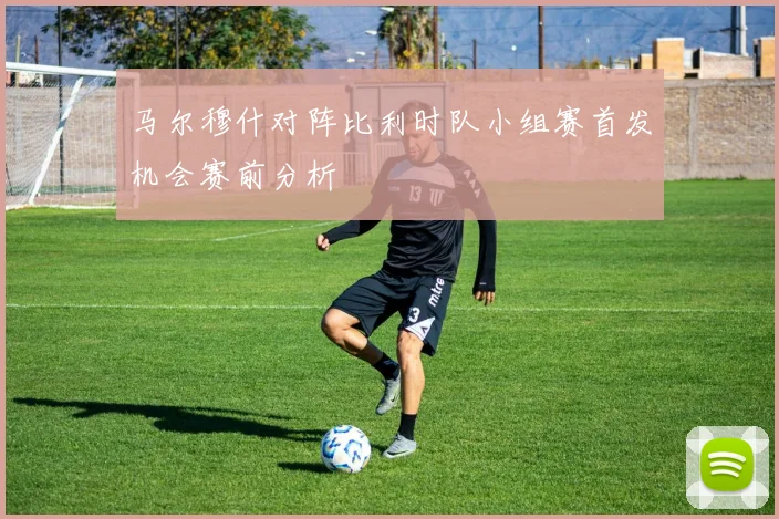 马尔穆什对阵比利时队小组赛首发机会赛前分析