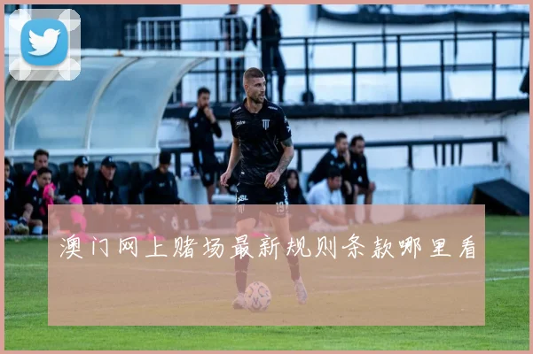 澳门网上赌场最新规则条款哪里看