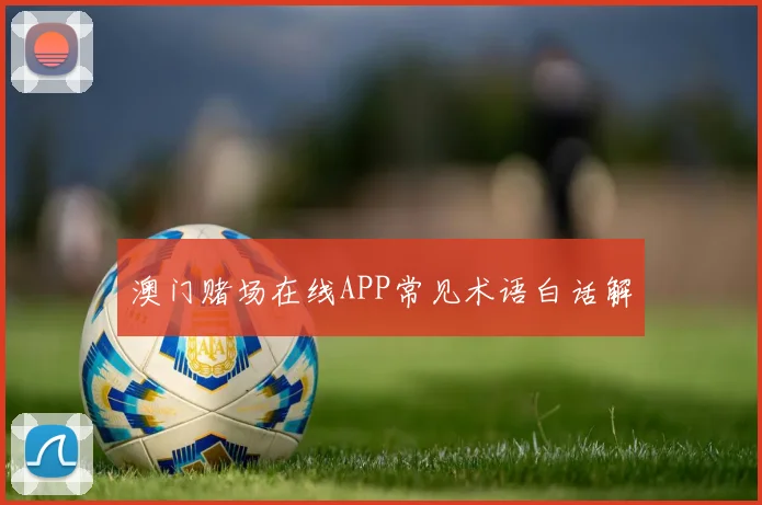 澳门赌场在线APP常见术语白话解