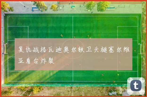 复仇战格瓦迪奥尔铁卫头槌塞尔维亚看台炸裂