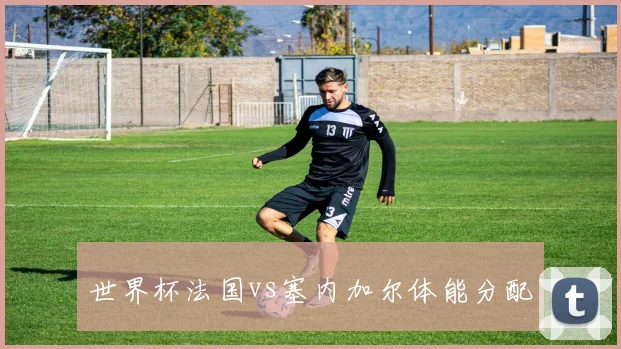 世界杯法国vs塞内加尔体能分配